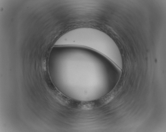 X0000072940368200607210913