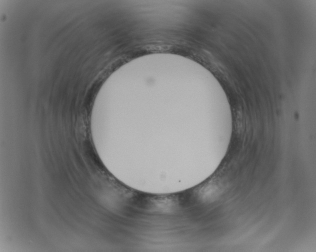 X0000072940370200607210913