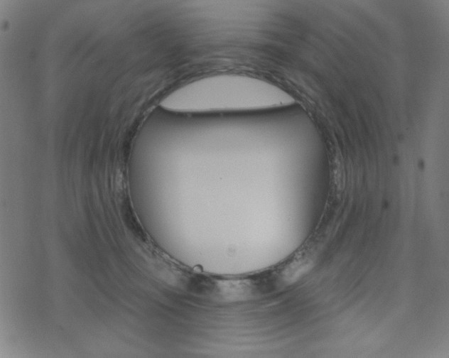 X0000072940371200607210913