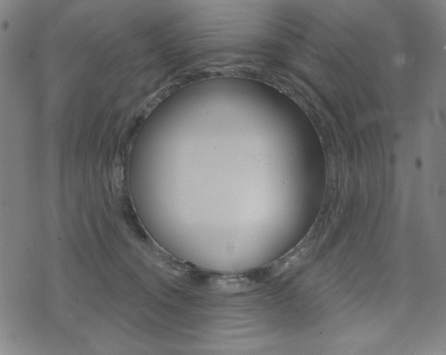 X0000072940372200607210913