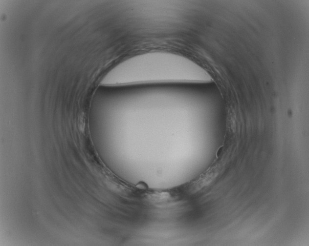 X0000072940374200607210913