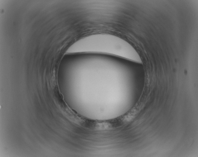 X0000072940376200607210913