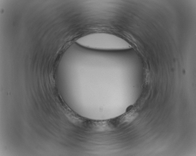 X0000072940377200607210913