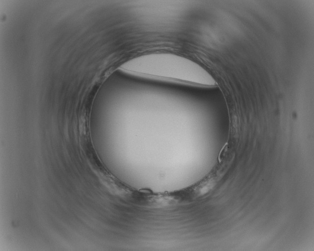 X0000072940379200607210913