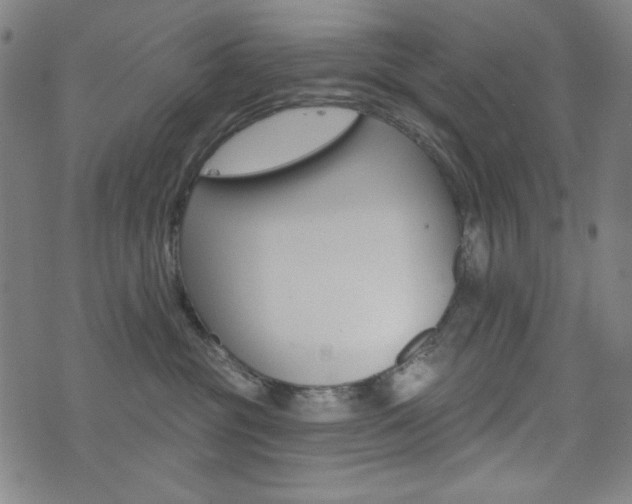 X0000072940381200607210913