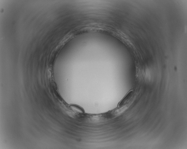 X0000072940382200607210913