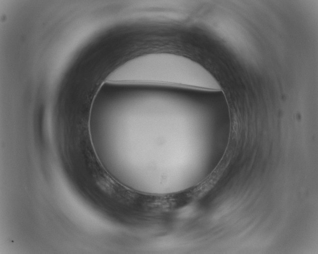 X0000072940383200607210913