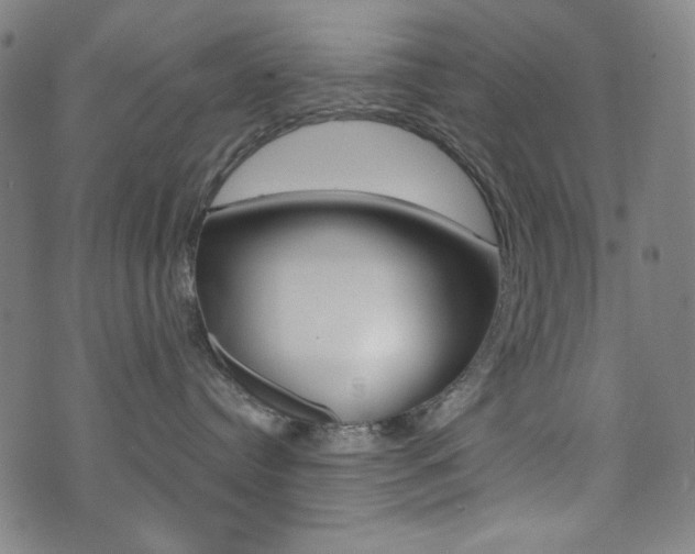 X0000072940384200607210913