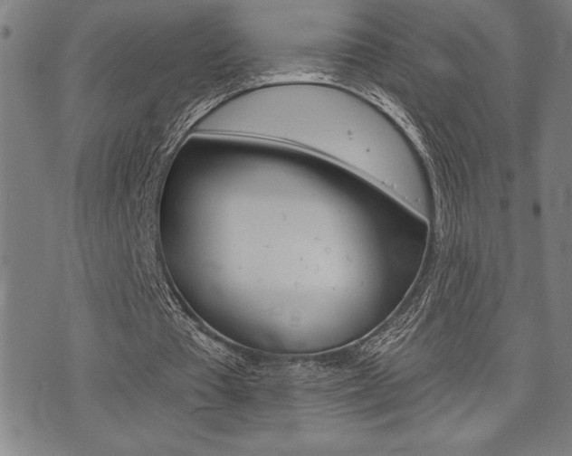 X0000072940385200607210912