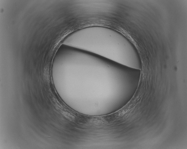 X0000072940386200607210912