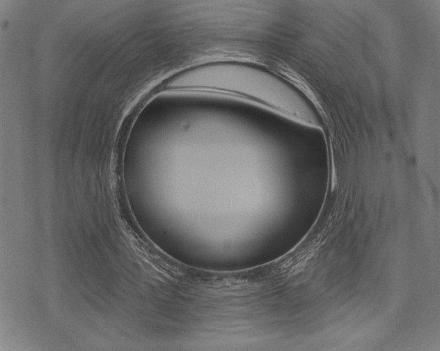 X0000072940387200607210912