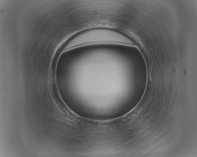 X0000072940388200607210912