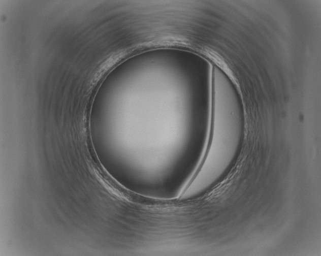 X0000072940389200607210912