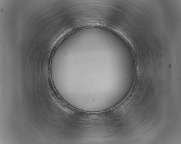 X0000072940390200607210912