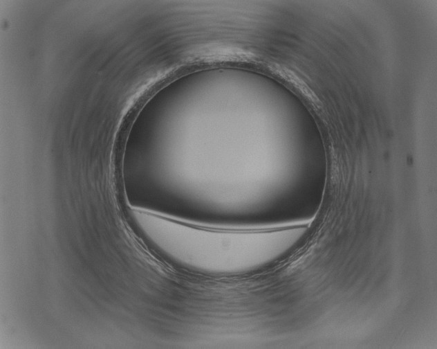 X0000072940391200607210912