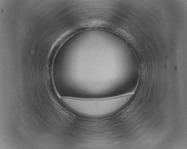 X0000072940392200607210912