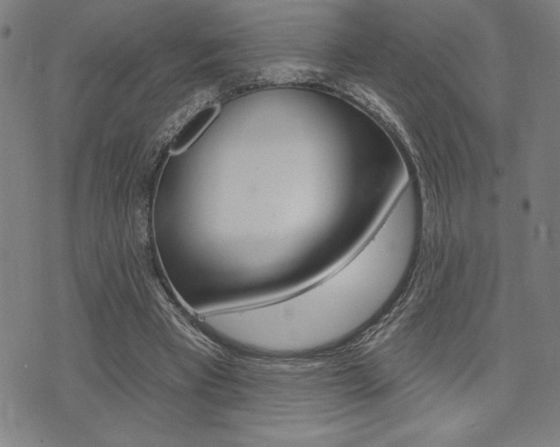 X0000072940393200607210912