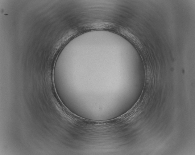 X0000072940394200607210912