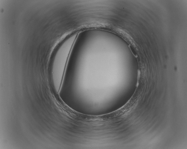 X0000072940395200607210912