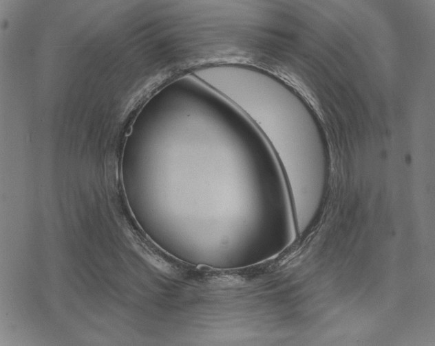 X0000072940397200607210912