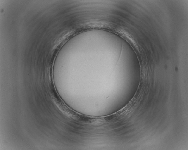 X0000072940398200607210912