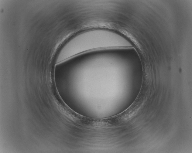 X0000072940399200607210912