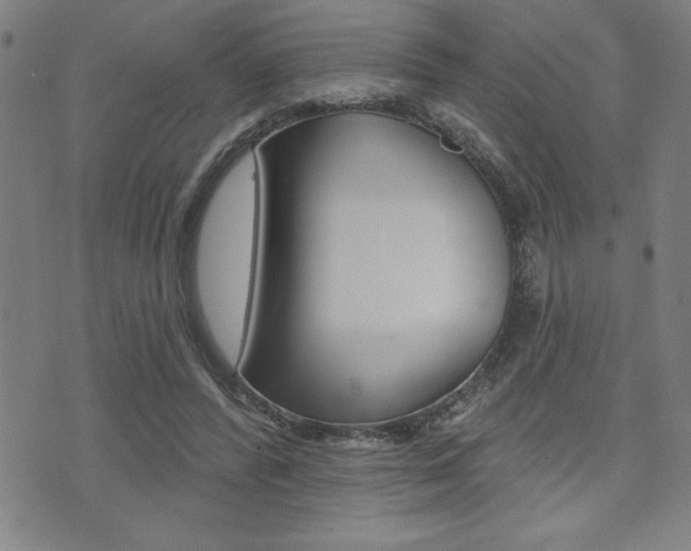 X0000072940400200607210912