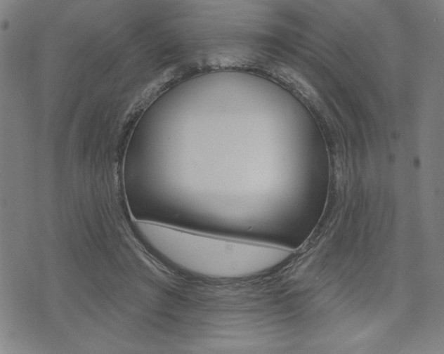 X0000072940401200607210912