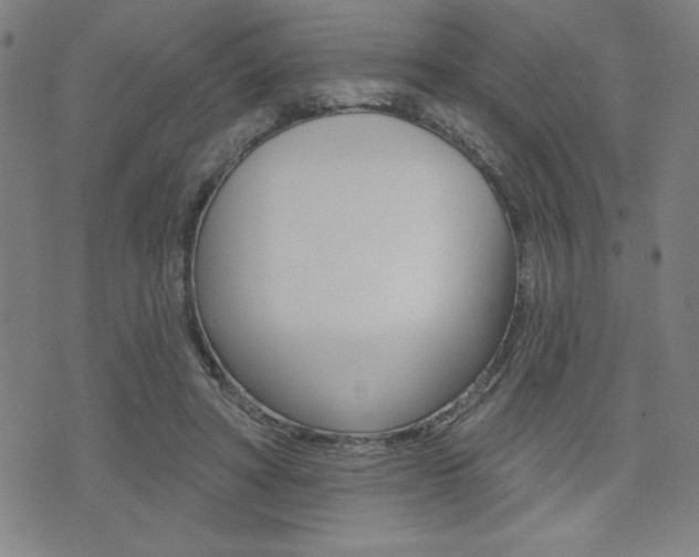 X0000072940402200607210912