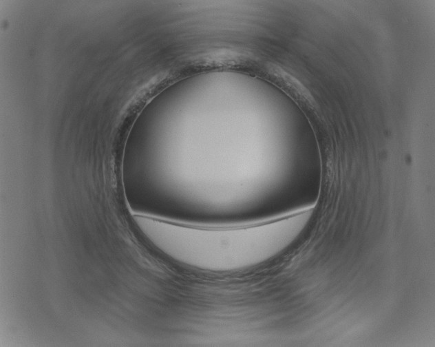 X0000072940403200607210912