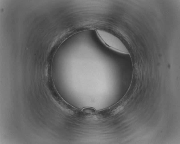 X0000072940404200607210912