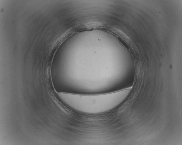 X0000072940405200607210912