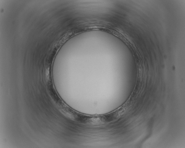 X0000072940406200607210912