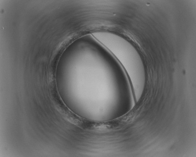 X0000072940407200607210912