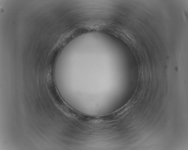 X0000072940408200607210912