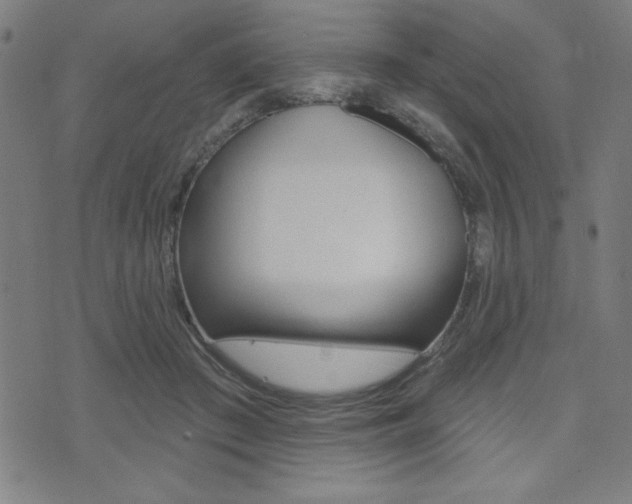 X0000072940409200607210912