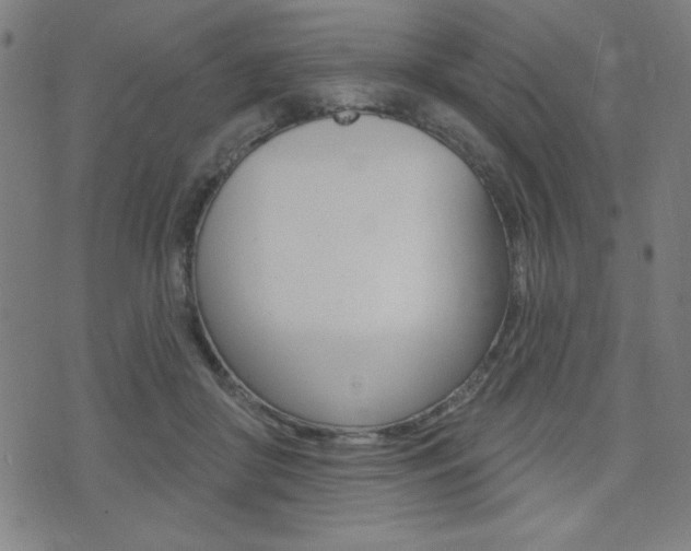 X0000072940410200607210912