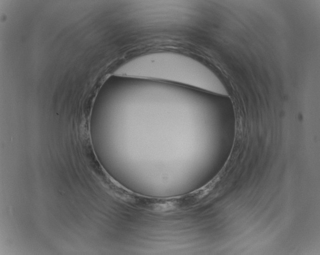 X0000072940411200607210912