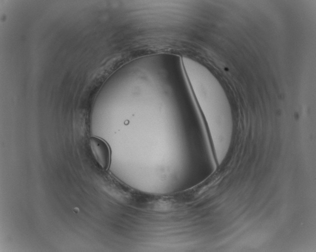 X0000072940412200607210912