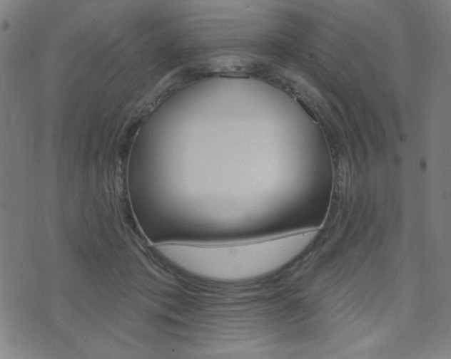 X0000072940413200607210912