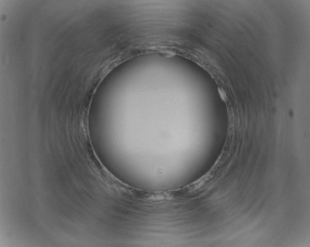 X0000072940415200607210912