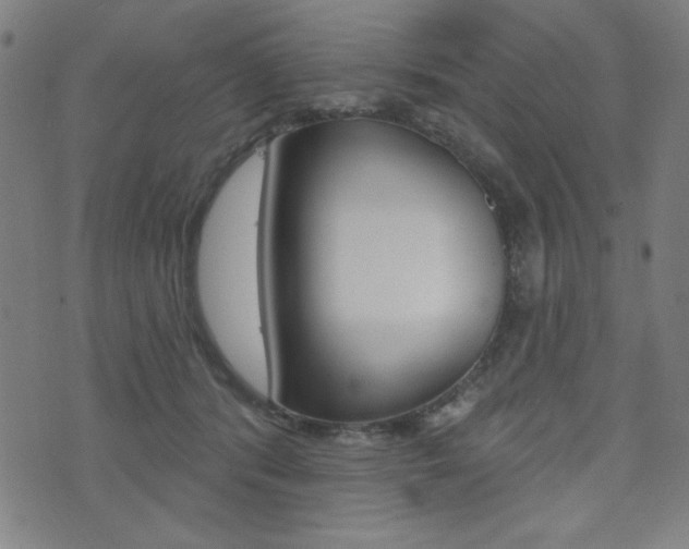 X0000072940416200607210912