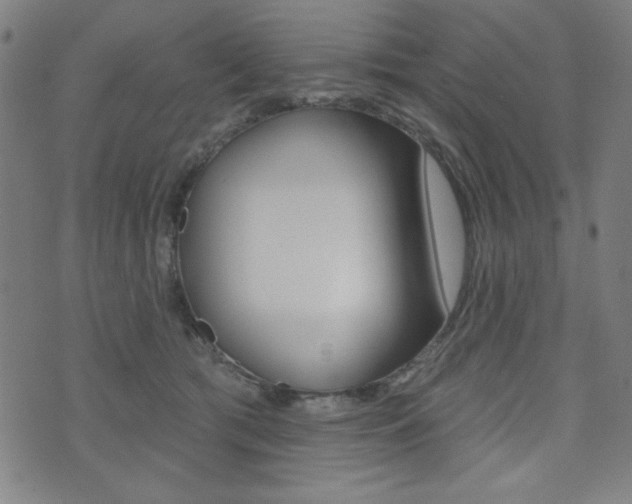 X0000072940417200607210912