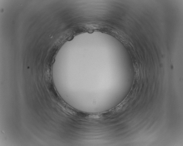 X0000072940418200607210912