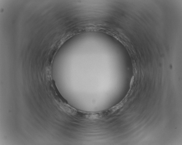 X0000072940419200607210912