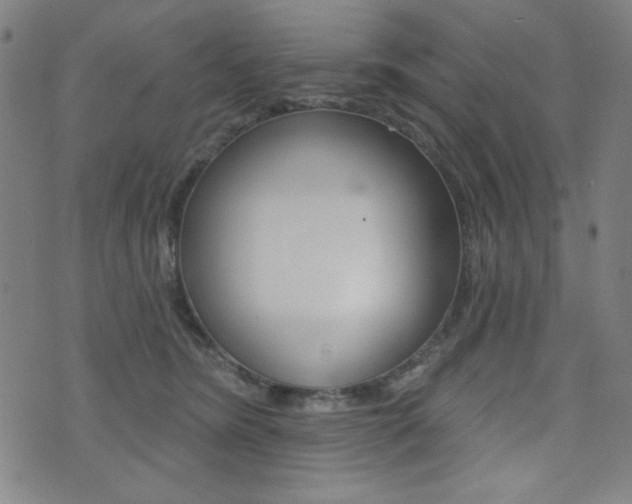 X0000072940420200607210912