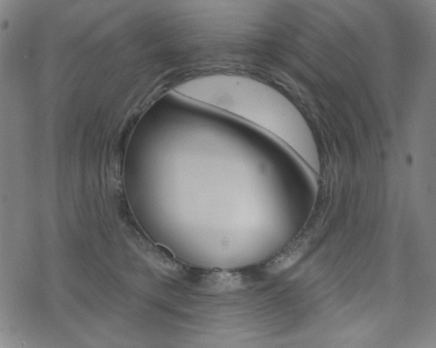 X0000072940421200607210912