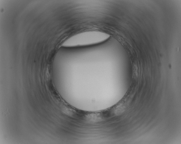 X0000072940422200607210912