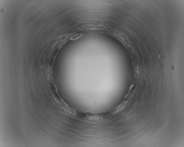 X0000072940423200607210912