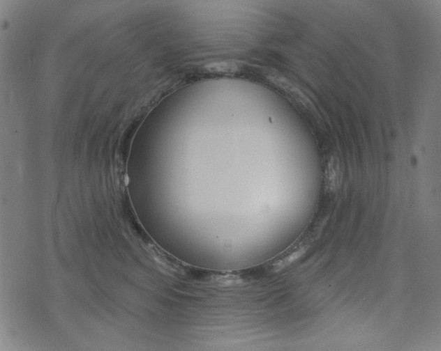 X0000072940424200607210912